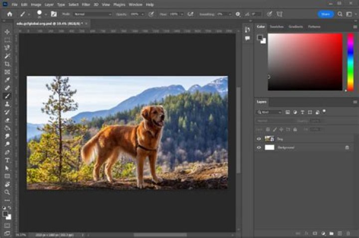 Can you get Adobe Photoshop for free?