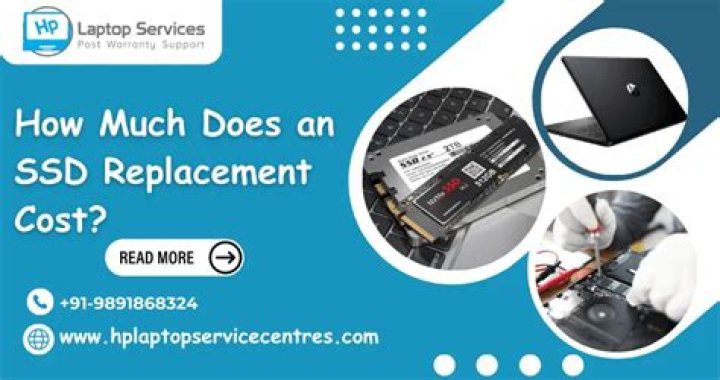 How much does PC service cost?