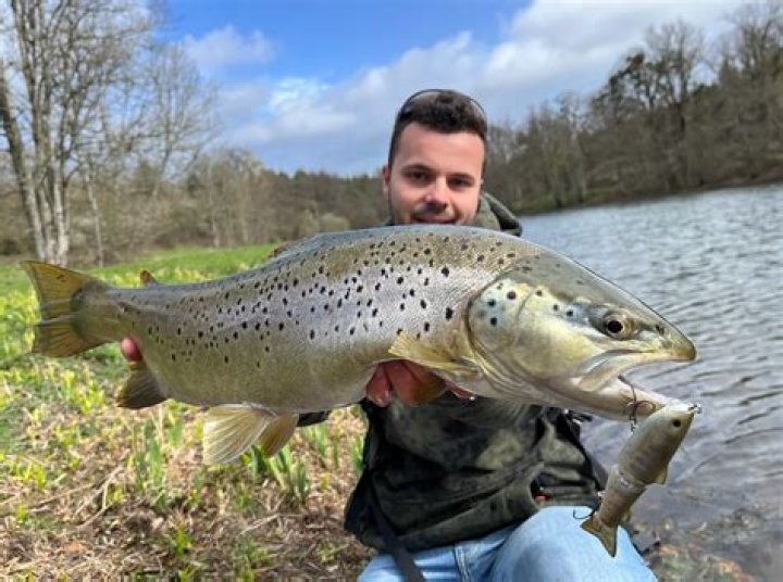 Quelle est la maille de la truite?
