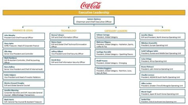 What is Coca-Cola summary?