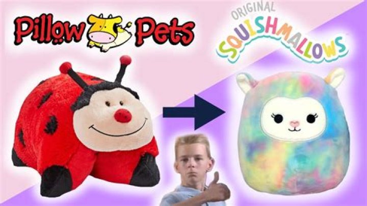 What was the original Pillow Pet?
