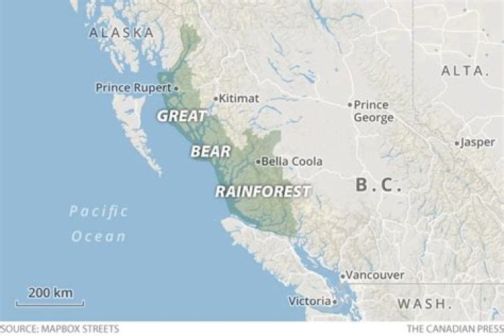 Where is the Great Bear Rainforest in BC?